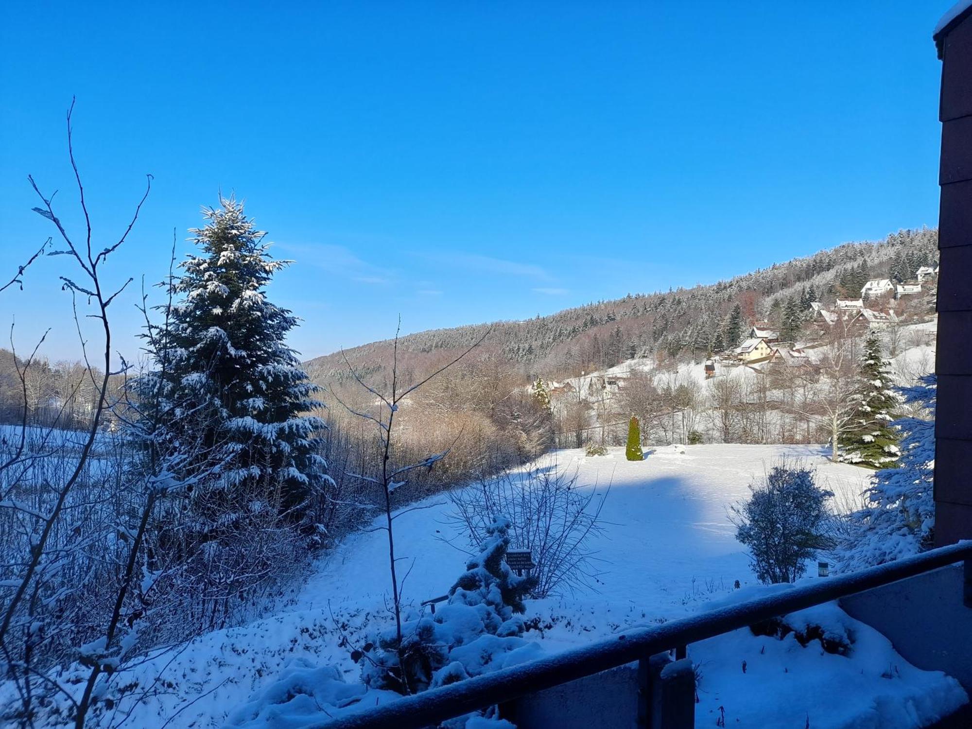 Appartamento Schwarzwald Pur Sasbachwalden Esterno foto