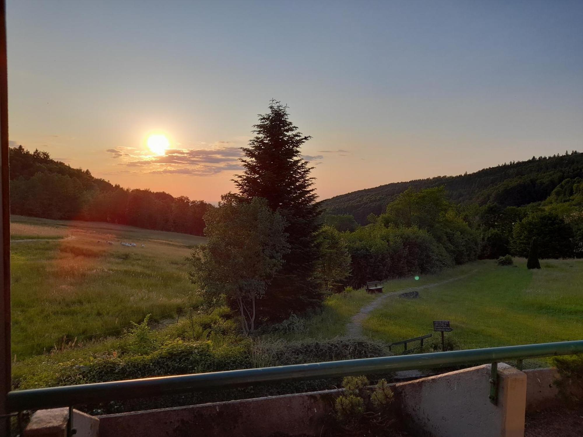 Appartamento Schwarzwald Pur Sasbachwalden Esterno foto