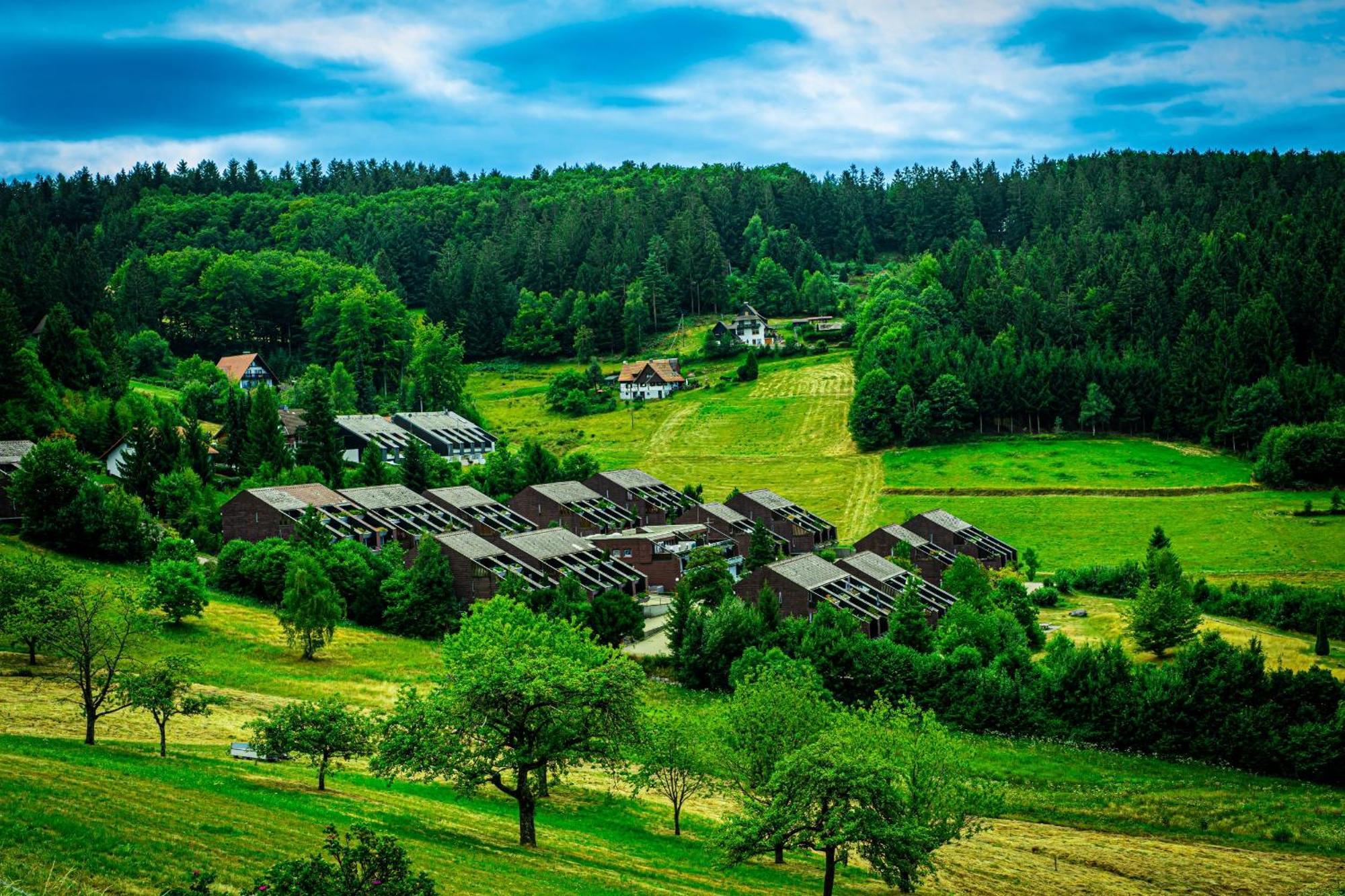 Appartamento Schwarzwald Pur Sasbachwalden Esterno foto