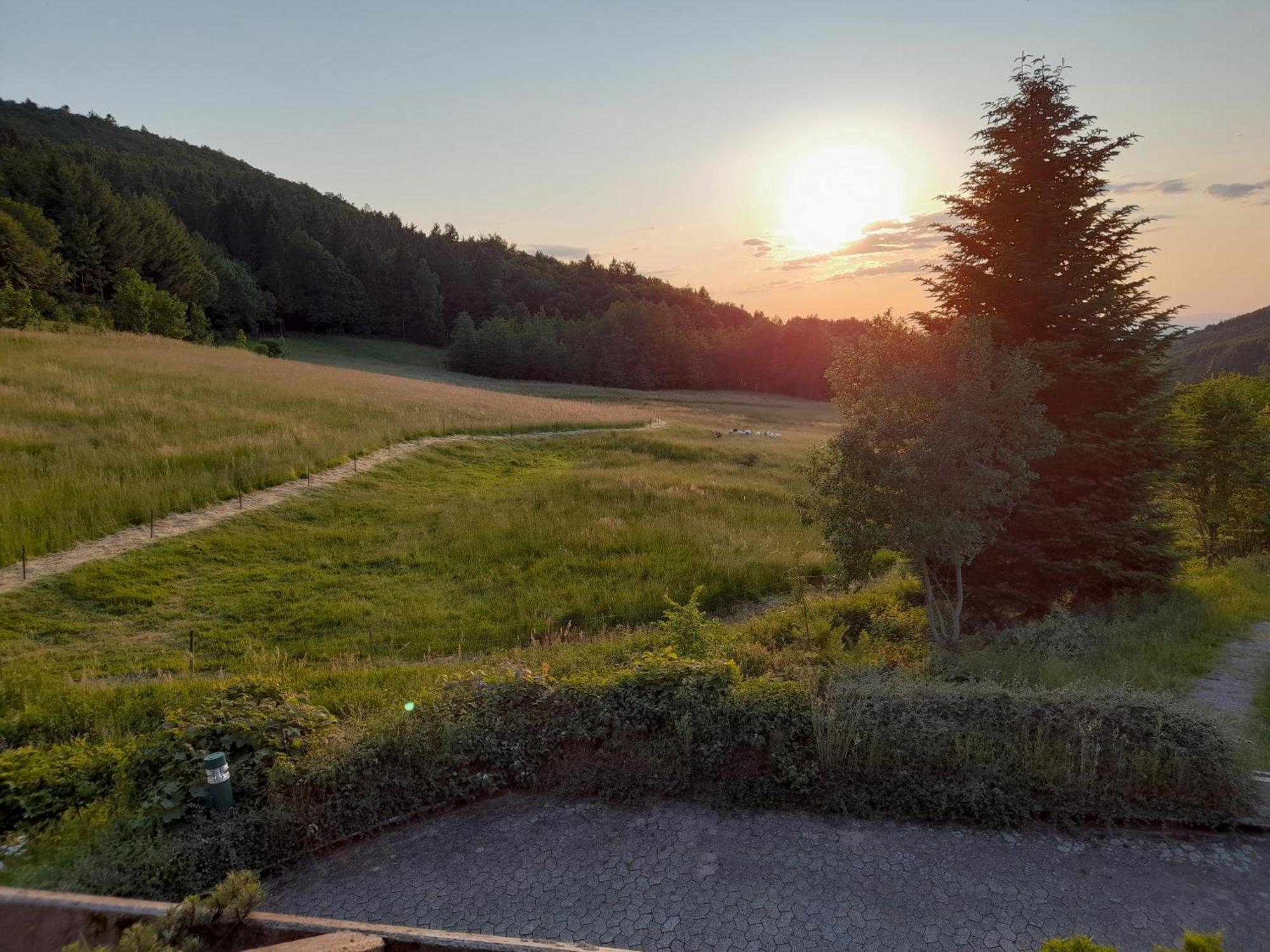 Appartamento Schwarzwald Pur Sasbachwalden Esterno foto